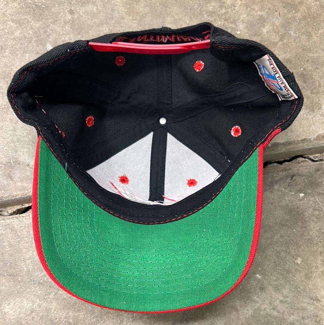 Vintage Logo Athletic Dale Earnhardt Stooth Snapback Hat